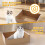 4-Pack Disposable Cat Litter Boxes, Foldable Waterproof Cardboard,Leak-Resistant Lining, Travel Friendly, Easy Cleanup 2