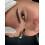 Biocolors Balanced Minerals Brunette – Brow Pigment 5