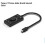 Carte Son USB-C avec Interface Audio et Microphone Externe 3,5 mm pour Casque D'Ordinateur Portable 2