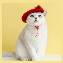 Adorable cat and dog beret with cherry decoration in wool for small cats and puppies, Pet Supplies, Gift for Dog Owners, Small & Medium Dogs