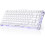 GravaStar Mercury,K1 75% Wireless Keyboard, Aluminum, Linear, RGB (White) 1