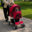 KCT (Red Pet Stroller) KCT Hooded Pet Strollers for Small to Medium Sized Pets 2