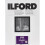 ILFORD MULTIGRADE V RC DE LUXE MGD.44M - Surface Perlée 17,8 x 24,0 cm 25 feuilles 1