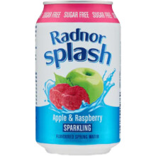 Radnor Sparkling Apple & Raspberry Water 330mlx24