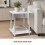 White High Gloss 2-Tier Side Table Stainless Legs 6