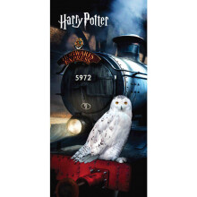 Harry Potter Hogwarts Express Bath Beach Towel 140x70cm