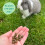 HayDay Moreish Meadow Hay Feed Small Pets 2.7kg 8