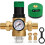 Régulateur de Pression D'Eau 1 Pouce DN25 avec Manomètre. Régulateur de Pression Robuste avec Valeurs de Pression Réglables. 1