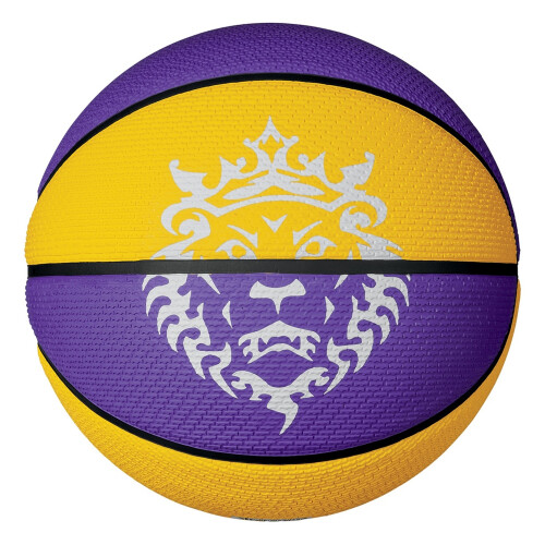 Nike Nike Lebron James Playground 2.0 Basketball 1