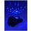 Cloud b Cloud b - Peluche proiettore di stelle Cane - BTL DIFFUSION 3