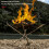 Portable Fire Pit Camping Outdoor Bonfire Stand Mesh Folding Fire pit Fireplace 11