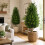 Artificial Cypress Tree, 92 cm, Weatherproof, 2-Pack 1