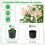 Artificial Impatiens Tree with Mini Fruits, Silk Flowers, 36" 3