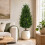 Artificial Cypress Tree, 92 cm, Weatherproof, 2-Pack 3
