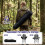 Folding Camping Chair, Black, High Backrest, Cup Holder 5
