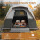 6-Person Instant Cabin Tent with Rainfly - Orange/Gray 4