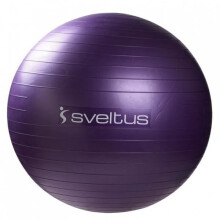 Palla da Ginnastica Parme - SVELTUS - Diametro 75 cm - PVC - Design anti-esplosione