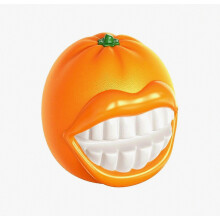 Squeaky Dog Toy Ball - Orange TPR Protected Squeaker Dental Chew