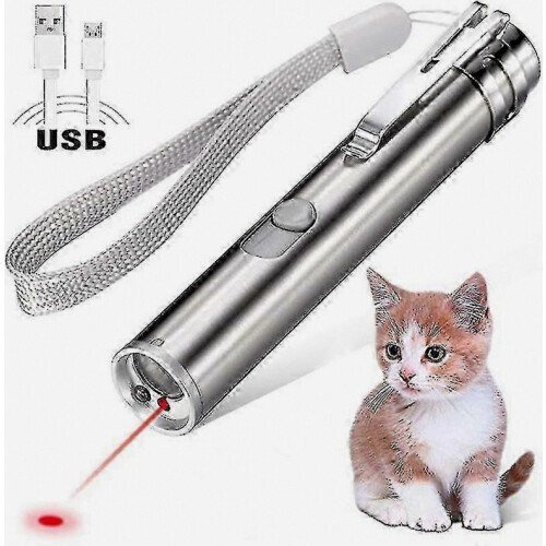 USB Rechargeable Laser Pointer Toy with LED Flashlight for Cat Training 1