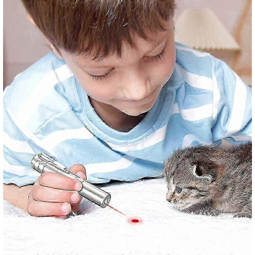 USB Rechargeable Laser Pointer Toy with LED Flashlight for Cat Training 2