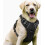 2025 newNo-Pull Dog Harness with Dual Leash Clips - Padded Control Handle Vest for Large Breed Training L 1