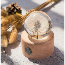 Boule de cristal en résine et verre en forme de fleur de pissenlit avec support - Idée cadeau pour