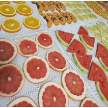 Dehydrator Sheet Compatible Food Dehydrator: 10 Pcs 29x37cm Silicone Sheets, Fruit Dehydrator Mats_Surprise Gift
