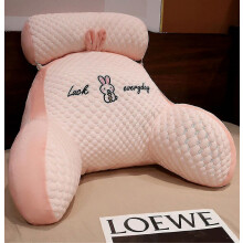 Leeskussen voor in bed - Rugleuning, lendensteun en armleuningen - Nieuw cadeau_Verrassing