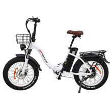 Electric Bike 48V 20Ah SamsungBattery 750W Motor Recommended Top Speed 25KM/H 20*4inches Tires 80-120KM Max Mileage 150KG Max Load Electric Bicycle