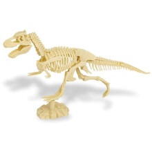 Dig & Discover Tyrannosaurus Rex