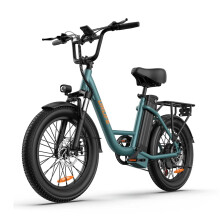 (Green) Electric Bike 48V 13AH 500W(Peak 1000W) Motor Recommended Top Speed 25KM/H 20inch Tire 130KM Max Mileage 120KG Max Load Electric Bicycle