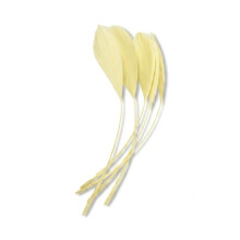 Caprilite 5 x Long Fascinators Feathers Stripped Coque Millinery Hats Trimmings Coloured (Pale Yellow)