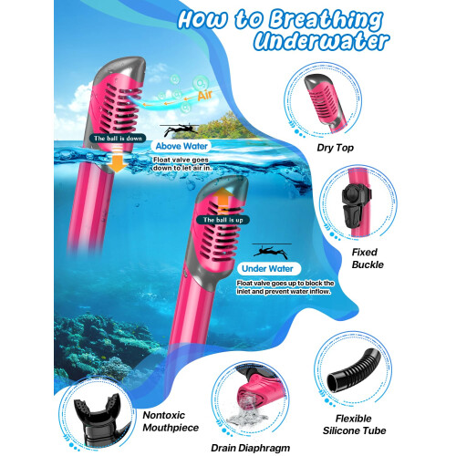 Zenoplie Snorkel Set Adults, with Flippers 2