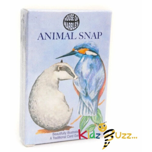 Classic Children's Card Game 2