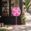 Pink Prize Wheel with 12 Sections & Adjustable Tripod Stand 1