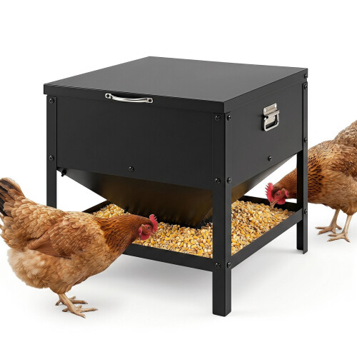 Large Capacity Black Chicken Feeder, Galvanized Metal 2