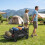 Foldable Wagon, 92L Capacity, Adjustable Handle, Black 2