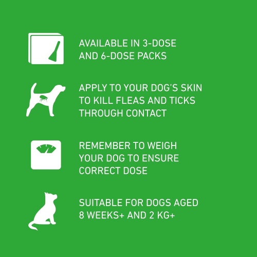 FRONTLINE FRONTLINE Plus Flea & Tick for Dogs (2-10)kg - 6P 1