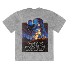 (XXL, Grey) Star Wars Unisex Adult Luke & Leia Action Pose Stone Wash T-Shirt