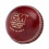 Gunn And Moore Mens Catalyst Leather Cricket Ball 1
