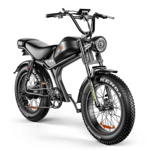 (Black) Electric Bike 48V 20AH Battery 1000W Motor Recommended Top Speed 25KM/H 20inch Tires 80-125KM Max Mileage 180KG Max Load Electric Bicycle