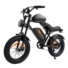 Electric Bike 48V 15.6AH Battery 500W Motor Recommended Top Speed 25KM/H 20inches Tires 40KM Max Mileage 120KG Max Load Electric Bicycle