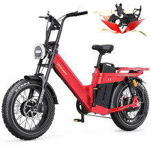 (Red) 52V 60AH 2000W Motor(Peak 3000W) Recommended Top Speed 25KM/H 20 Inch Tire Electric Bicycle 290-320KM Mileage Range Max Load 160KG TESWAY X5 AWD
