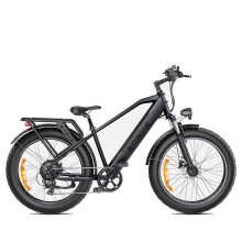 (Black) 48V 16Ah Electric Bike, 250W Motor, 25KM/H Top Speed, 26*4.0 Inch Fat Tire, 120-140KM Range, All-Terrain Mountain E-Bike