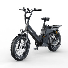 (Black) 48V 60AH Electric Bike, 1000W (Peak 2000W) Motor, 20 Inch Tires, Top Speed 25KM/H, 273-320KM Ultra Long Range