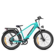 (Green) 48V 16Ah Electric Bike, 250W Motor, 25KM/H Top Speed, 26*4.0 Inch Fat Tire, 120-140KM Range, All-Terrain Mountain E-Bike