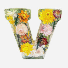 Buchstaben-Blumen-Nachtlicht, kreative LED-Ambientebeleuchtung mit Trockenblumen, Harzbuchstaben-Lampe, Party-Tischdekoration, Beleucht