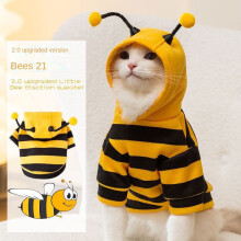 (yellow, M) Funny Cat Clothes Anti-Slip Bee Design Small Dog Pet Sweatshirt for Beagle Blue Cat Spring Autumn New