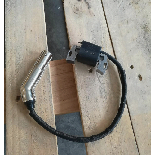 Ανάφλεξη Briggs & Stratton 595304 799650 795315 Π 1