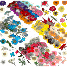 144pcs Natural Dried Pressed Flowers Compatible Resin,Compatible Candle,epoxy Resin_Surprise Gift